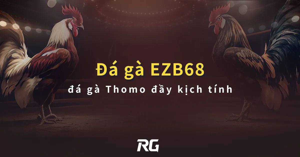 【Đá Gà EZB68】Sảnh đá gà RG – đá gà Thomo đầy kịch tính